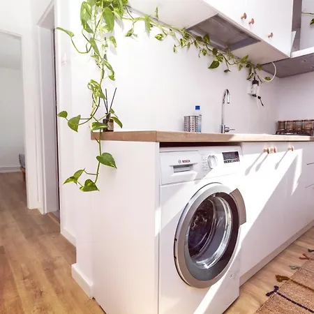 Apartamentul Cu Plante Etaj 4 דירה