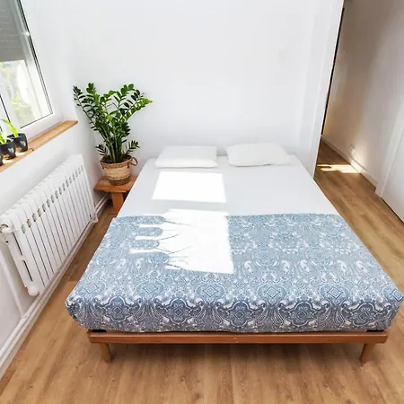 Apartamentul Cu Plante Etaj 4