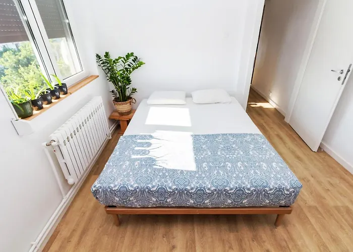 Apartamentul Cu Plante Etaj 4