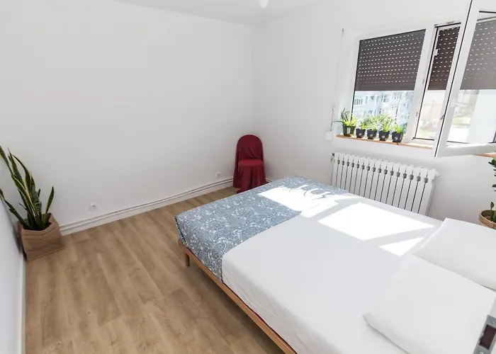 Apartmán Apartamentul Cu Plante Etaj 4 Mangalia